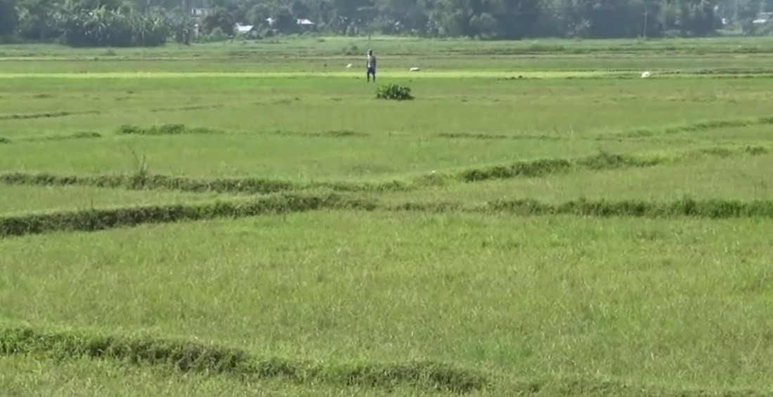 भूमाफियाले हत्याएको गुठीको दुई बिघा जग्गा २३ वर्षपछि फिर्ता