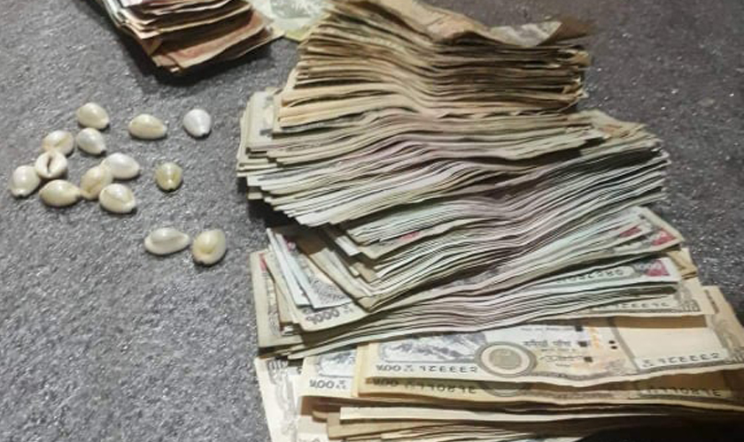 तनहुँमा ७२ जुवाडे पक्राउ