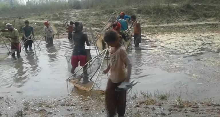 संकटमा माझीको पुर्खौली पेशा