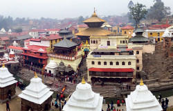 पशुपति क्षेत्रमा आजदेखि मासु, मदिरा र नसालु पदार्थ निषेध