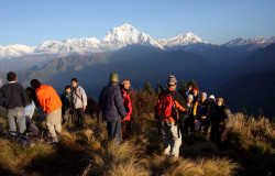 सन् २०२४ मा पर्यटक आगमन औसत मासिक १ लाखभन्दा माथि