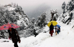 ताप्लेजुङको उच्च हिमाली क्षेत्रमा हिमपात हुँदा किसान खुसी