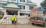 सुनसरीमा तरकारी बोकेको ट्रकबाट २ हजार ५६६ किलो गाँजा बरामद