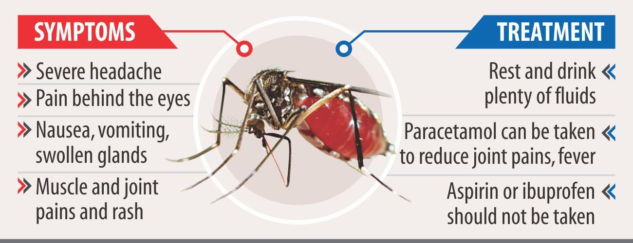 झापामा ५०० भन्दाबढी डेङ्गुका बिरामी