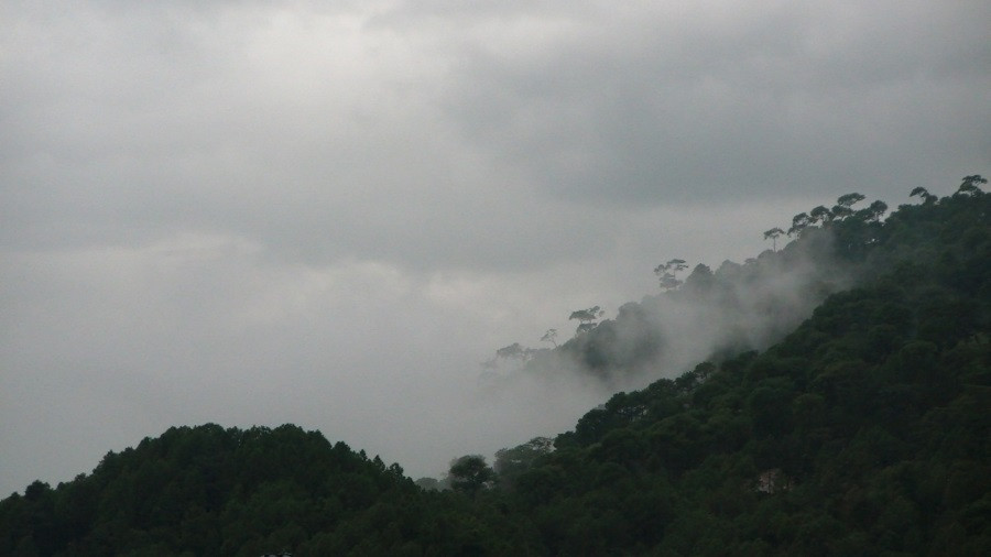 मनसुन मध्यक्षेत्र प्रवेश: अधिकांश स्थानमा वर्षाको सम्भावना