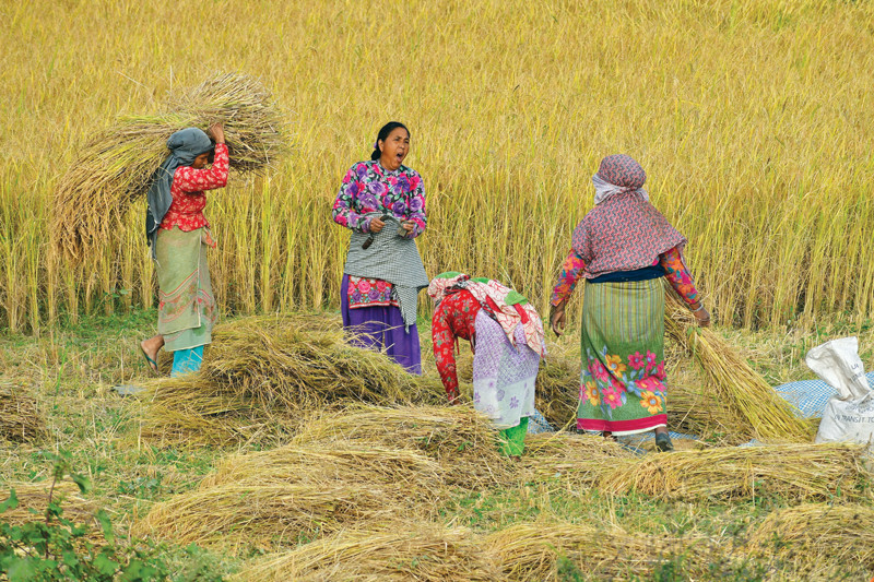 कोरोनाभन्दा भोकमरीको पीडाले विश्व आक्रान्त हुने चिन्ता