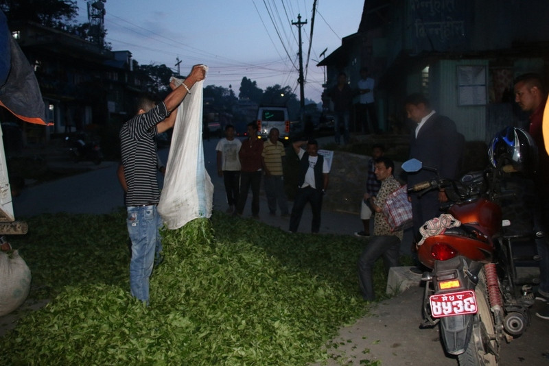 चिया नबिकेपछि सडकमै पोखे किसानले हरियोपत्ती