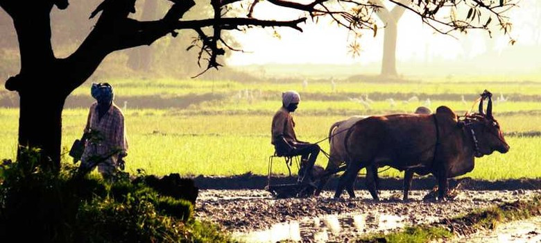 किसानको पीडा सुन्ने काेही छैन