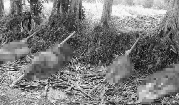 पपुवा न्यूगिनीमा आदिवासी समुदायका २४ जनाको मृत्यु