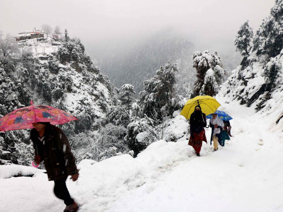 ताप्लेजुङको उच्च हिमाली क्षेत्रमा हिमपात हुँदा किसान खुसी