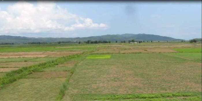 समस्याग्रस्त सहकारीलाई चैत मसान्तभित्र बचत फिर्ताको कार्ययोजना पेस गर्न निर्देशन