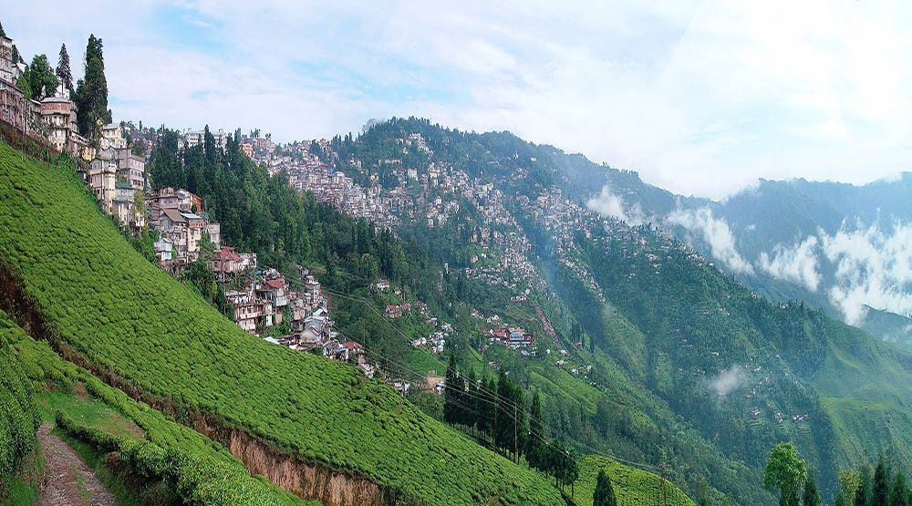 दार्जिलिङको लोकसभा दौड : दिल्ली र कोलकाताको भिडन्त