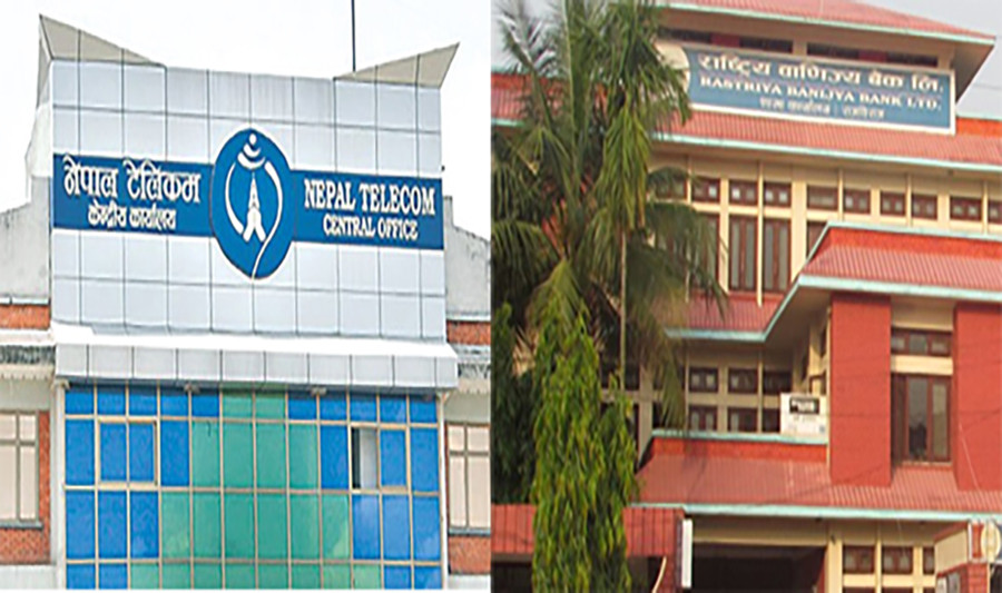 नेपाल टेलिकम र राष्ट्रिय वाणिज्य बैंकमा निजामती कर्मचारीले मागे १०/१० प्रतिशत शेयर