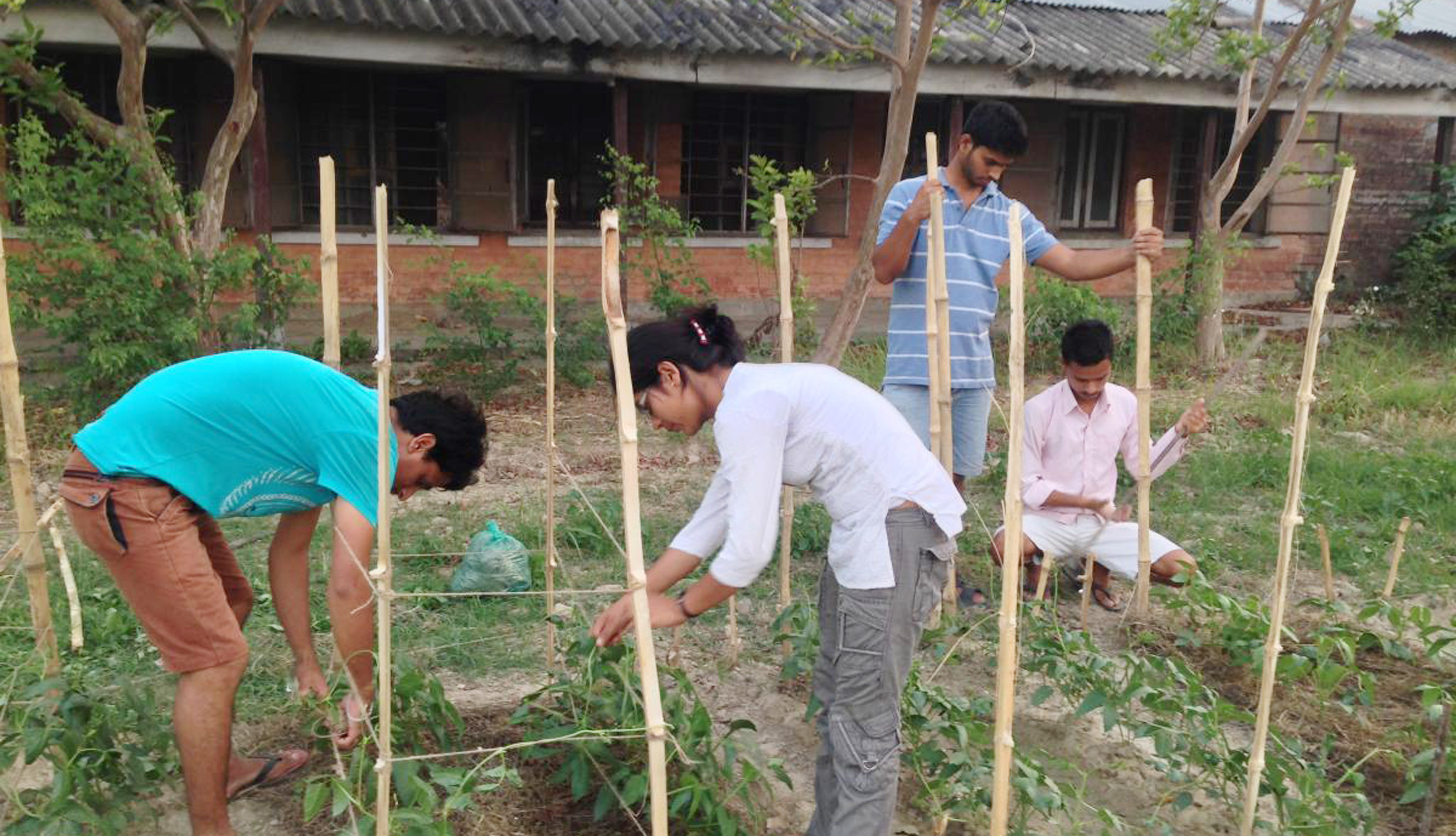 स्वदेशमै केही गर्न चाहन्छन् युवा