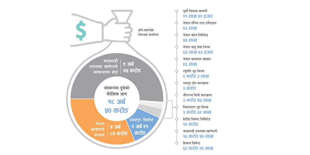 संस्थानमा डुब्यो सरकारकाे साढे १८ अर्ब लगानी