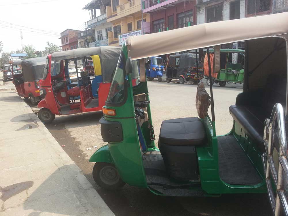 लाइसेन्स विना इरिक्सा चलाउने ट्राफिक नियन्त्रणमा