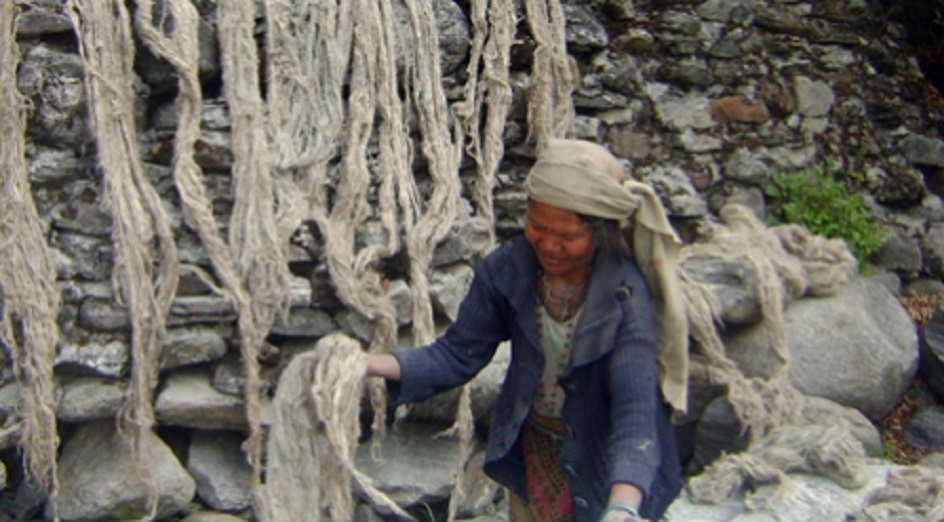 भोजपुरमा अल्लोले बजार पाएन