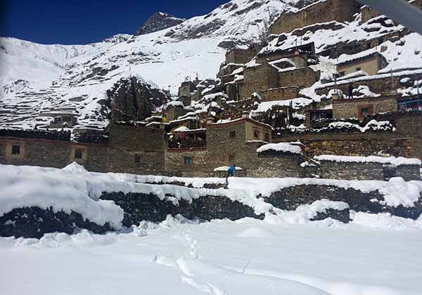 हुम्लामा दुई फिट हिमपात, जनजीवन प्रभावित 
