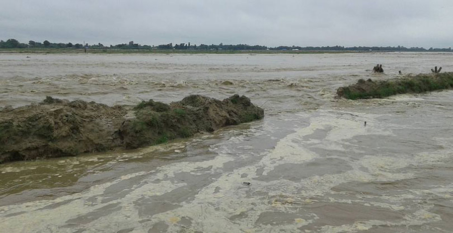 सप्तरीमा खाँडो नदीको बाँध भत्कियो, बाढी बस्तीमा पस्यो, एक वेपत्ता