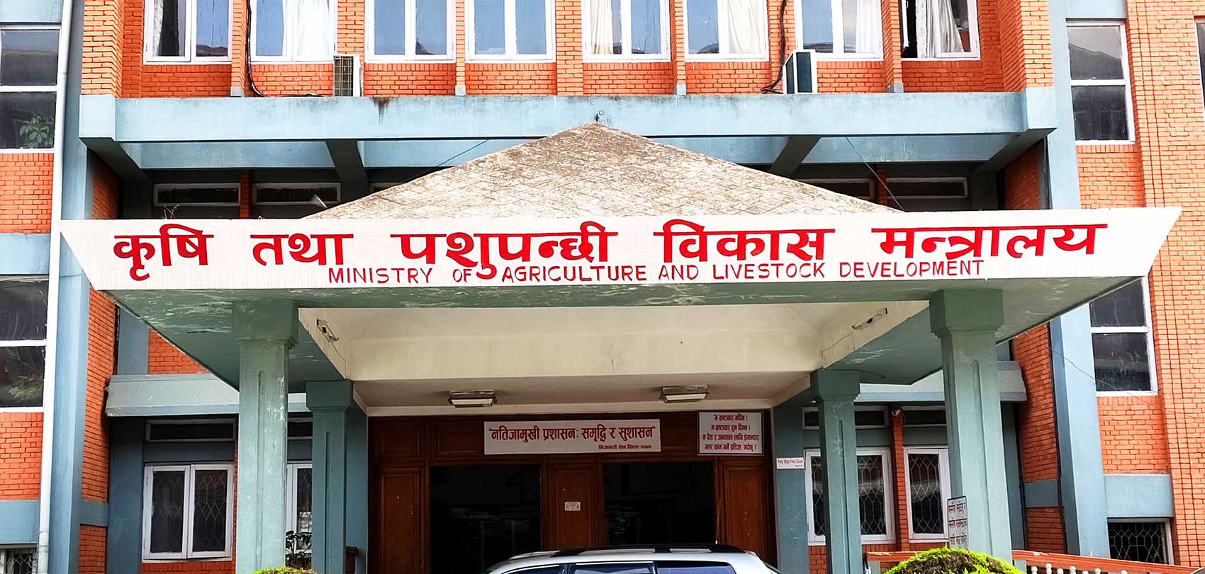 बासमती धानमा नेपालले दाबी पेश गर्ने