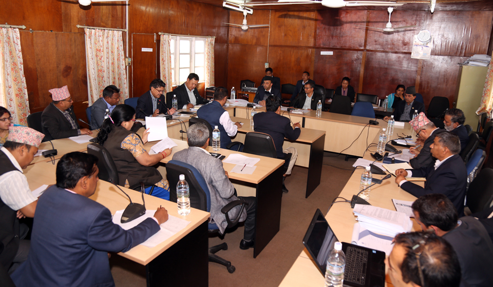 सार्वजनिक पद धारण गरेकालाई वायुसेवा निगमको विमान प्रयोग गर्न लेखा समितिको निर्देशन
