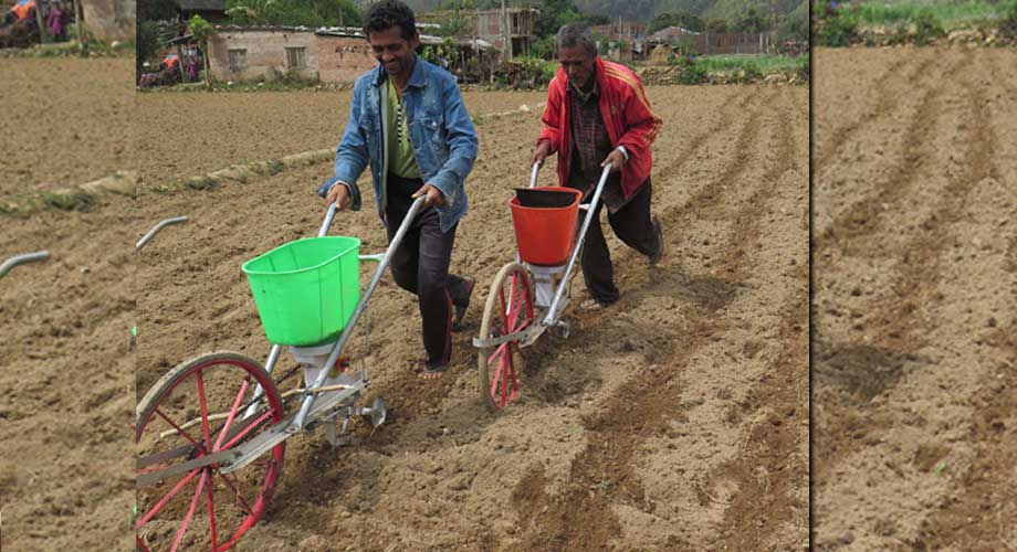 नुवाकोटका किसानले यन्त्रबाट मकै रोप्न थाले 