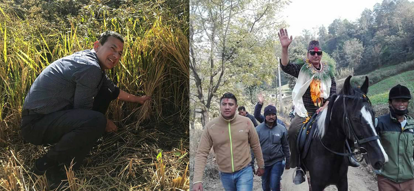 मत माग्ने र धन्यवाद दिने सिलवाल शैलीः पहिला खेतमा अहिले घोडामा 