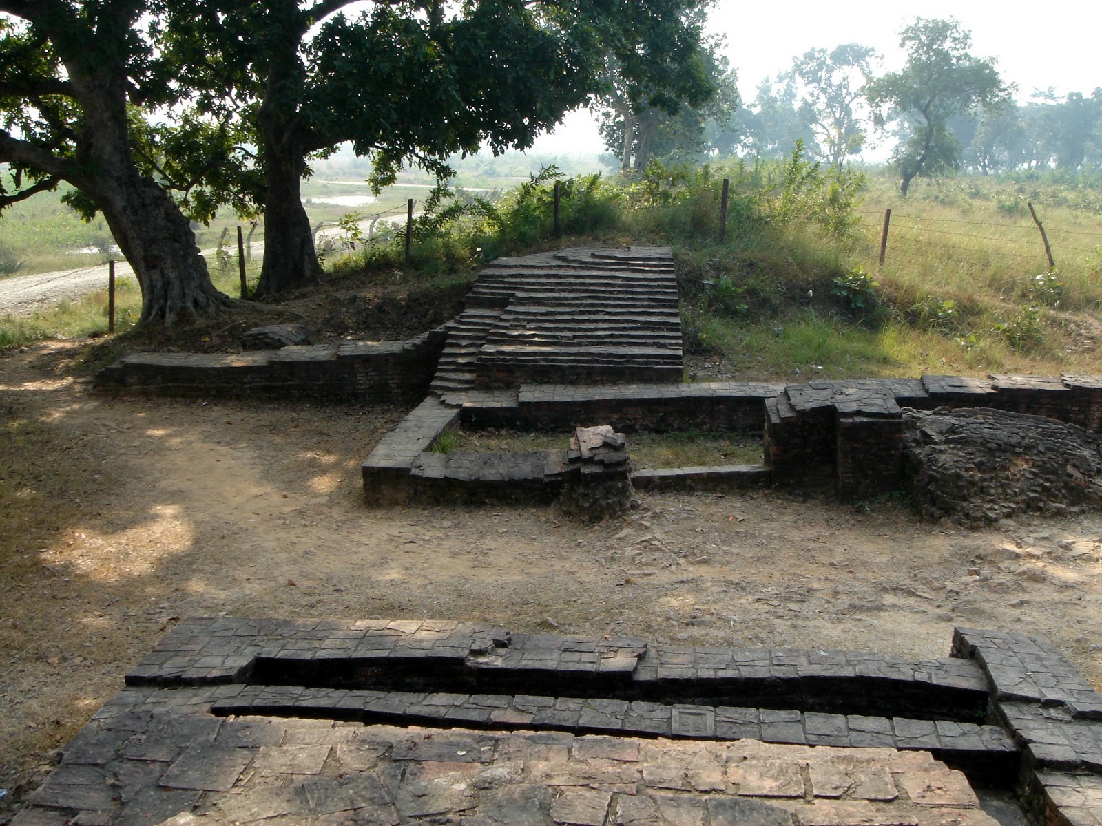तिलौराकोटमा उत्खनन कार्य पुनः शुरु
