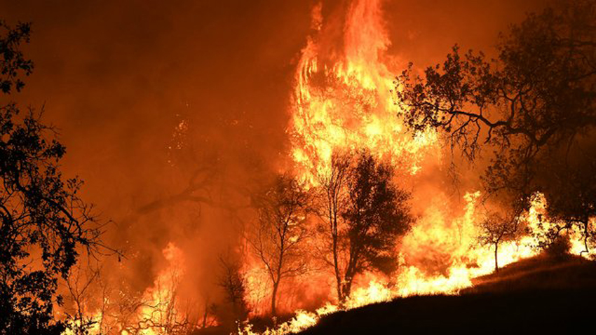 क्यालिफोर्नियाको जंगलमा भीषण आगलागी, मृत्यु हुनेको संख्या २३ पुग्यो