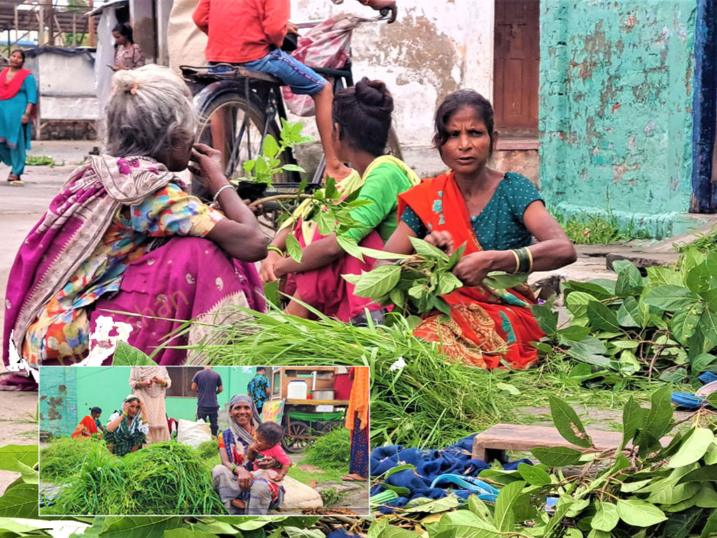 टाँगा चल्न छाड्यो, घाँस पनि बिक्री हुन छाड्यो