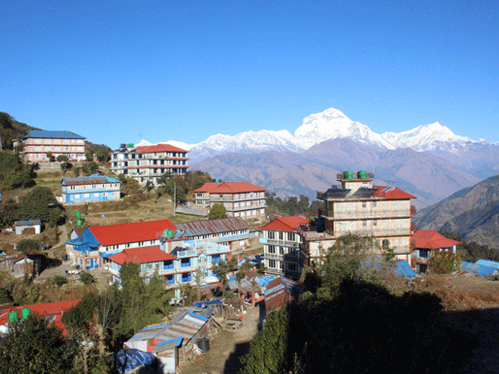 घोडेपानी र पुनहिलमा बढे विदेशी पर्यटक