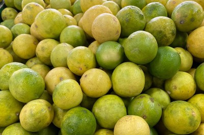 कागतीको भाउ एकैदिन ९५ रुपैयाँले बढ्यो