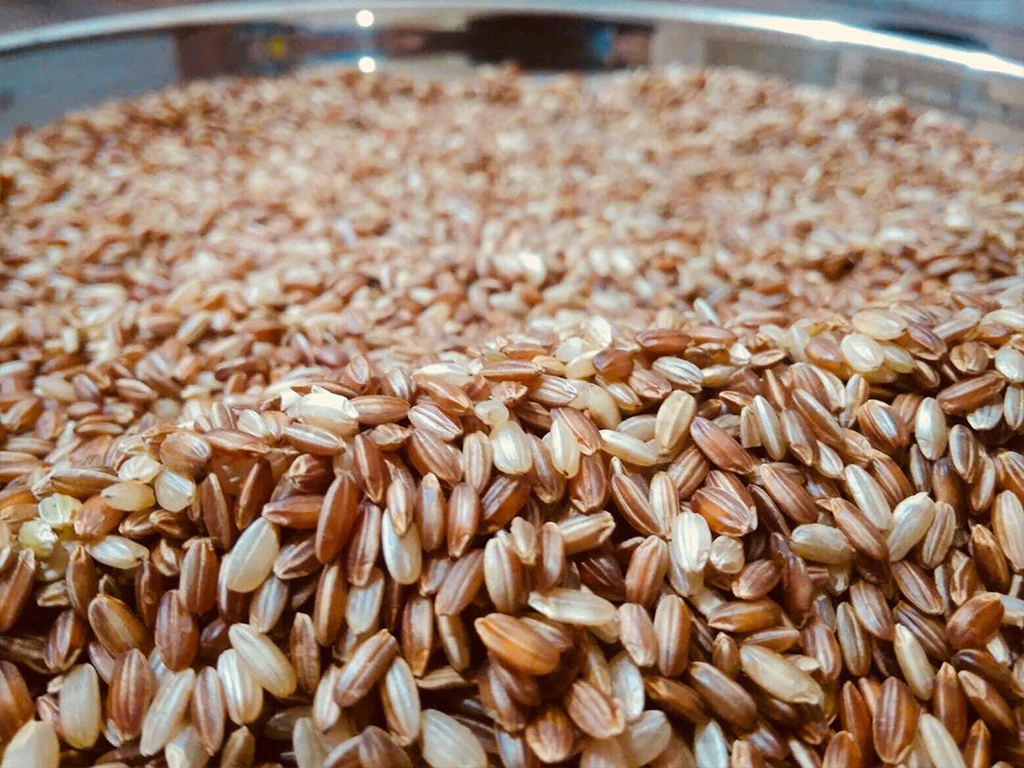 काली मार्सी चामल जापानी बजारमा,क्यानडा निर्यातको अन्तिम तयारी