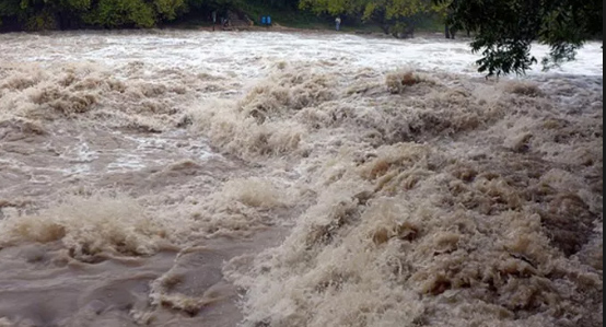 नदीमा डुबेर दुई बालकको मृत्यु