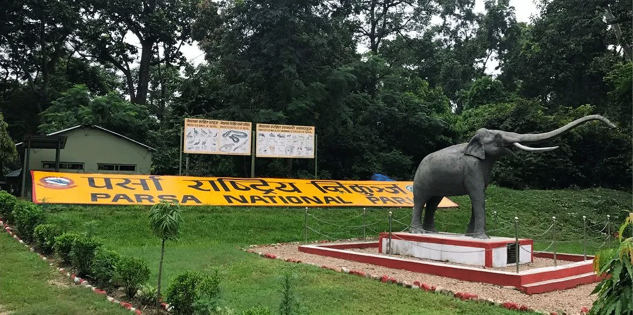 पर्सा राष्ट्रिय निकुञ्जमा पर्यटक आगमन वृद्धि 