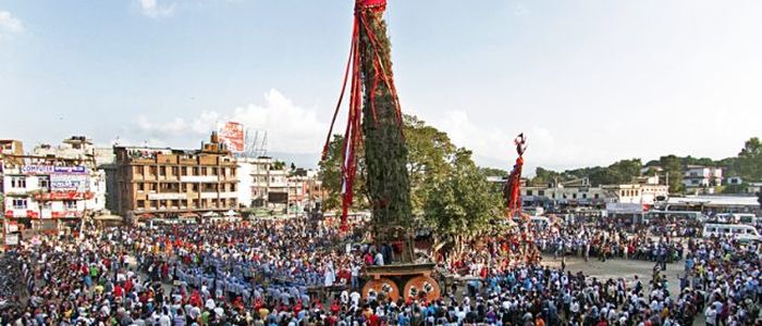 राताे मच्छिन्द्रनाथकाे रथ आज दिउँसाे तानिने