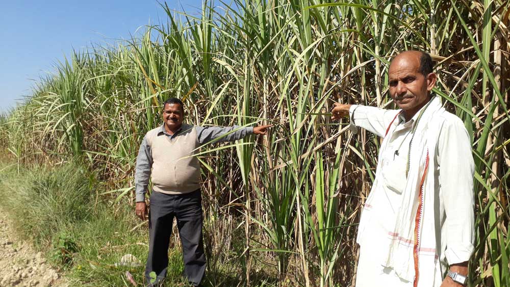 उखु किसानका पुस्तैनी पीडा