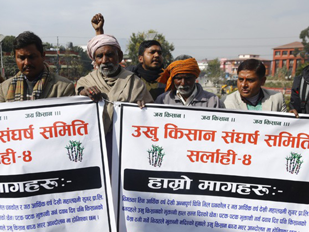 उखु किसानको रकम तत्काल भुक्तानी गर्न माग