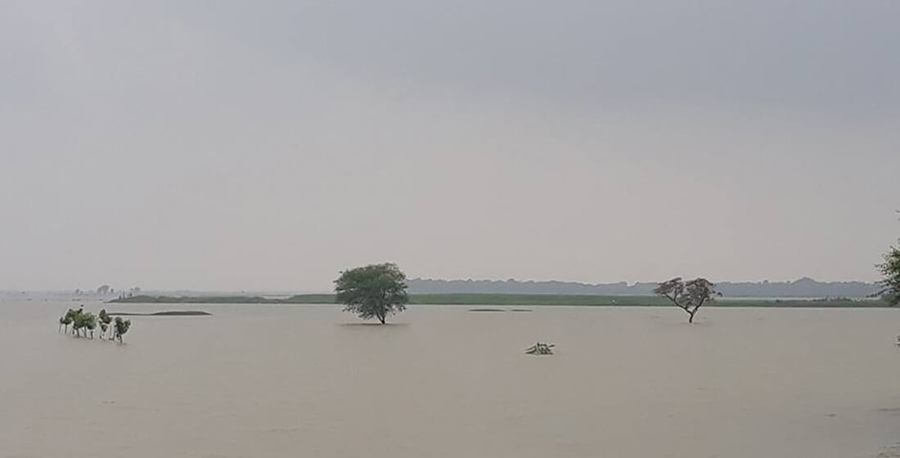 सर्लाहीको ८० प्रतिशत भूभाग डुवानमा, बाग्मती बाँध उच्च जोखिममा