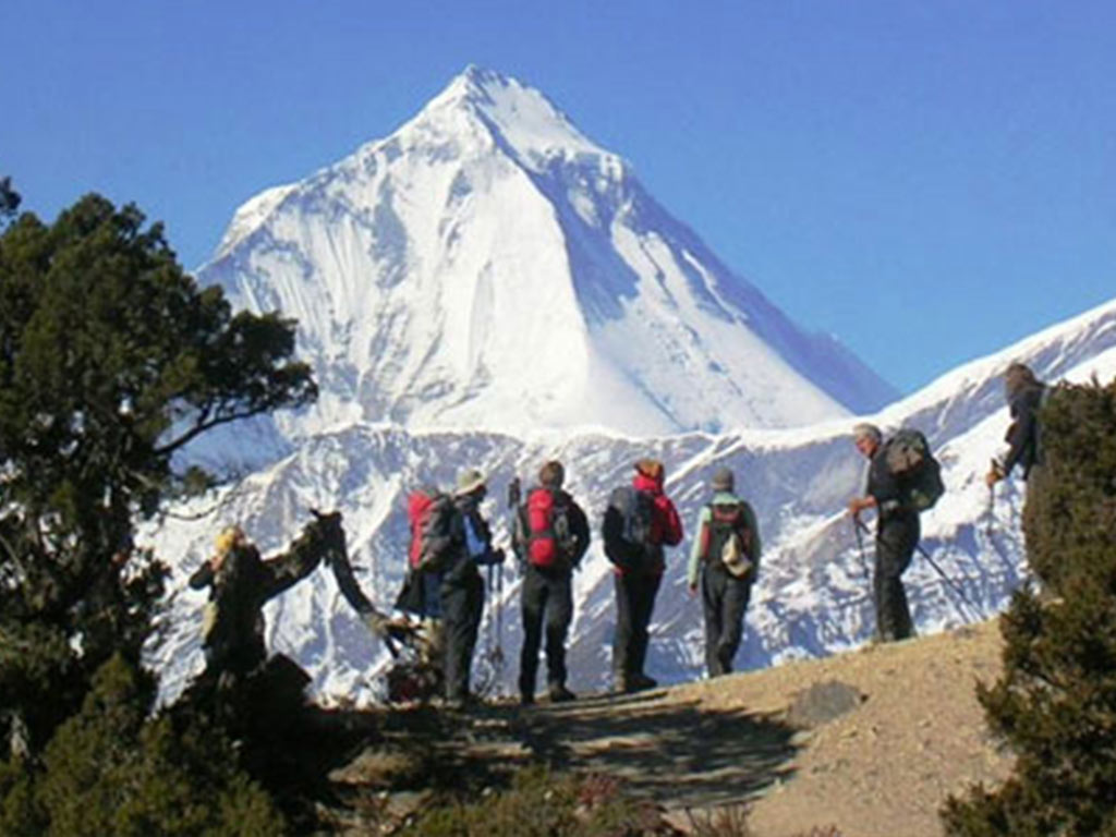 धौलागिरि आरोहण गर्न १३ पर्यटक बेसक्याम्पतर्फ