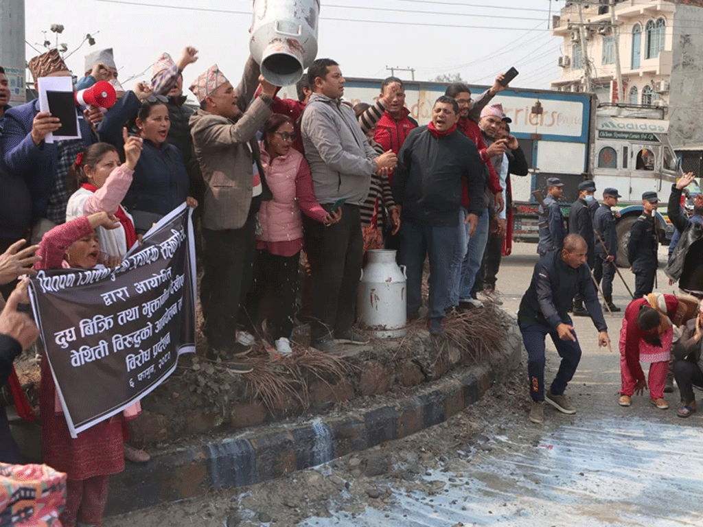 सरकारले भुक्तानी नदिएपछि किसान आक्रोशित, सडकमै पोखे दूध