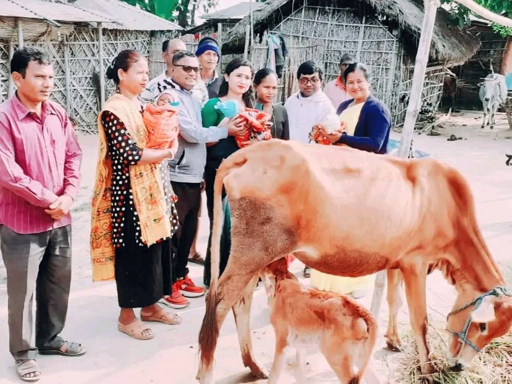 तिम्ल्याहा बच्चा जन्माएकी रबिनालाई पालिकाले दियो लहिनो गाई