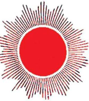 रत्ननगरको मेयरमा एमालेका नारायण वन विजयी