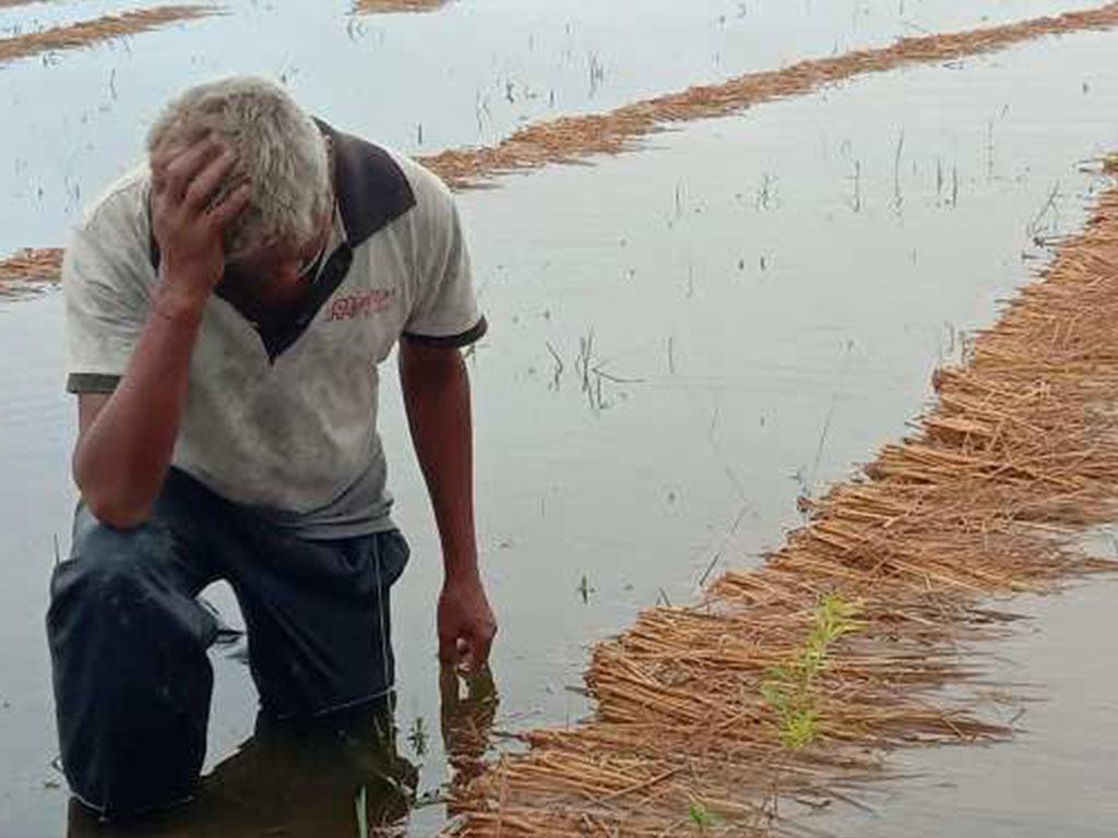 राहतको पर्खाइमा बाँकेका किसान