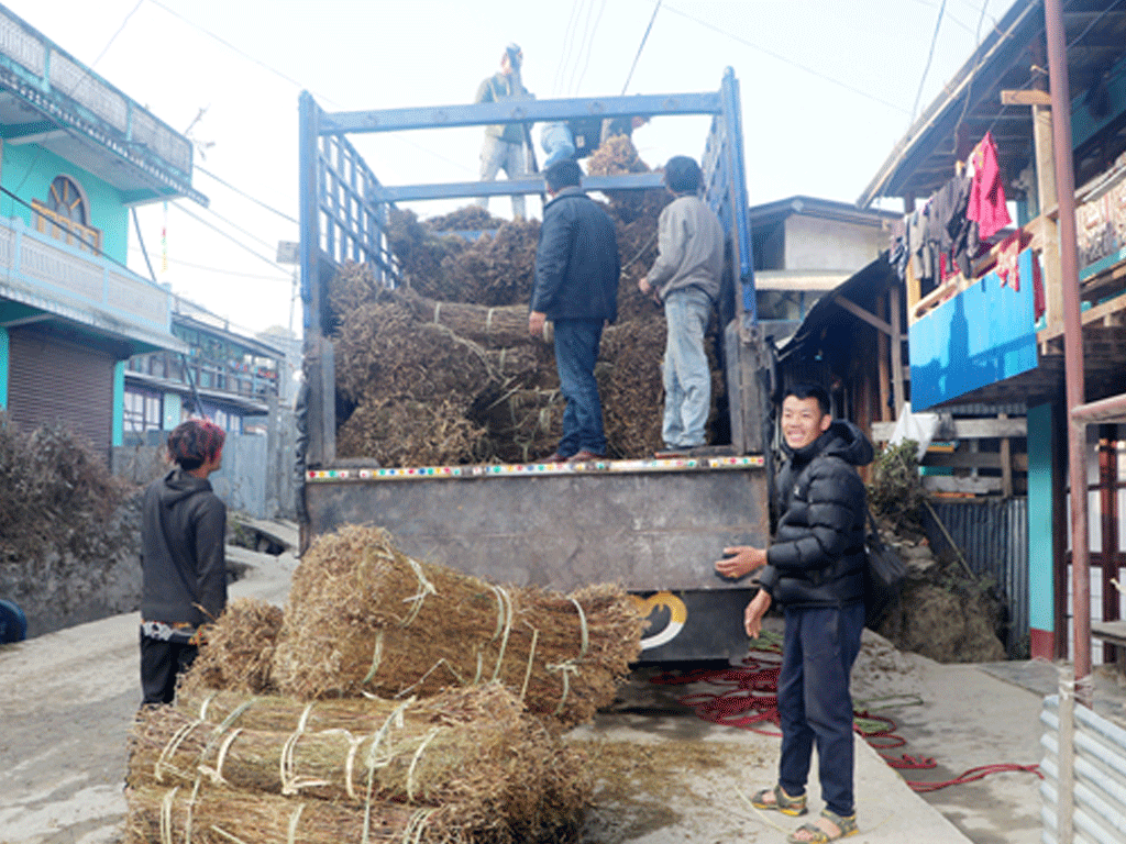 चिराइतो मूल्य बढ्दो, उत्पादन घट्दो   