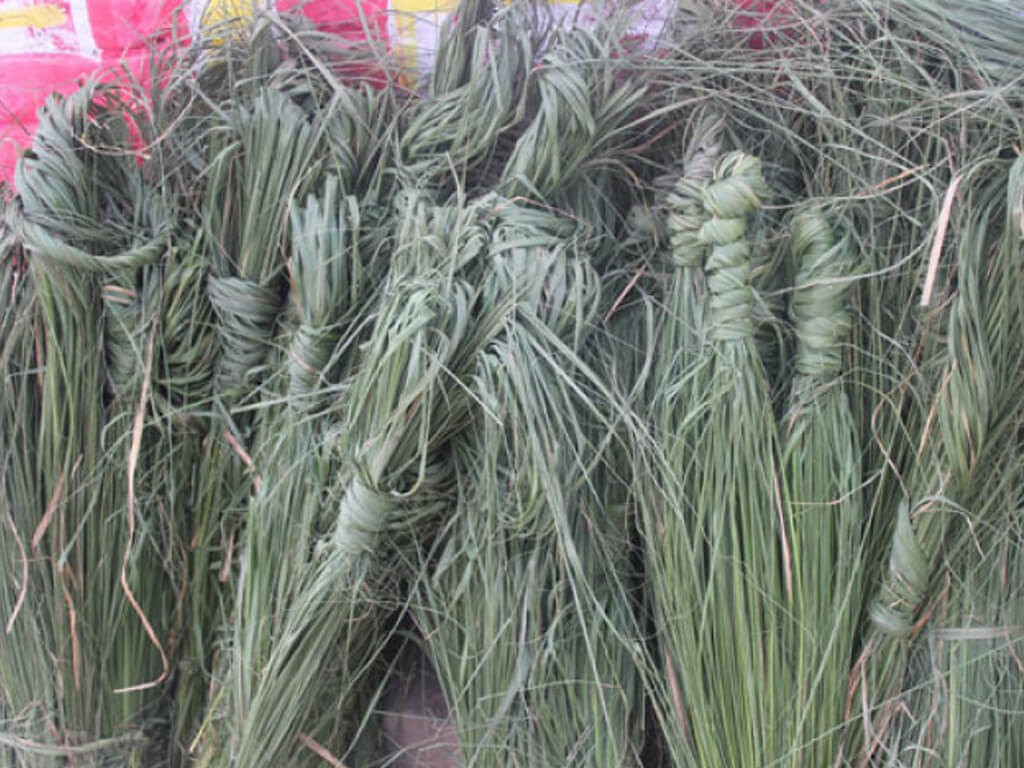 आज कुशे औँसी (गोकर्णे औँसी), पितृ सम्मान दिवस