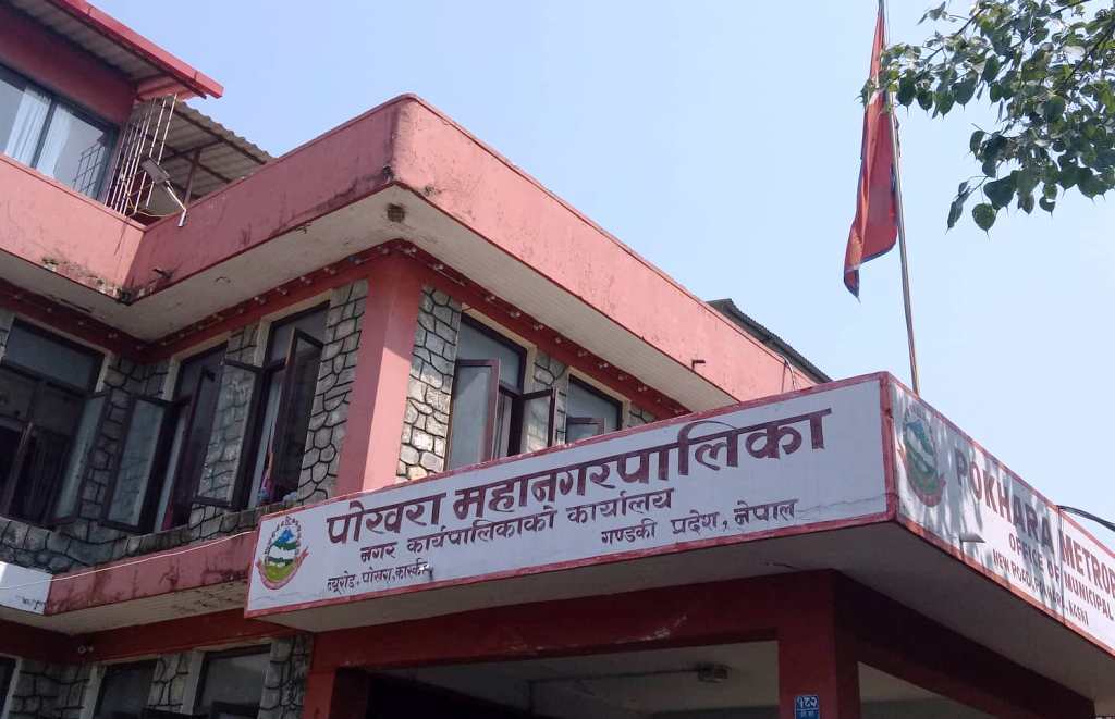 अनुमतिबिना सडक किनारको रुख काट्नेलाई कारबाही