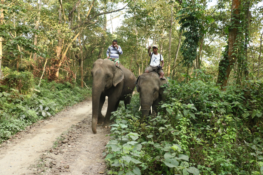 लामो समयदेखि सुनसान सौराहामा एक्कासी चहलपहल